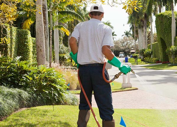 About Taftville CT Pest Control Pros